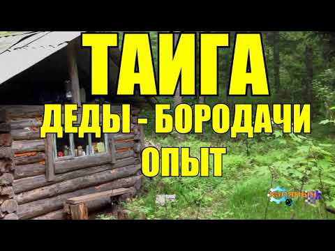 Видео: СЛУЧАЙ В ТАЙГЕ | ОПЫТ ДЕДОВ