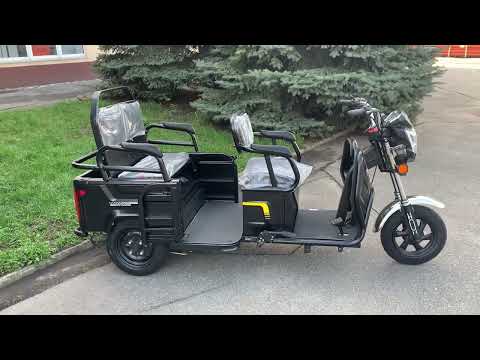 Видео: Грузовой электроскутер Elwinn ANT с нагрузкой до 250кг