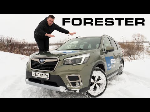 Видео: ВСЯ ПРАВДА о Subaru Forester. Честный ОБЗОР и ТЕСТ-ДРАЙВ.