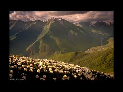 Видео: МЕЧТА, Стихотворение Ольги Чихановой в исполнении автора. Ноктюрн в исполнении оркестра Поля Мориа