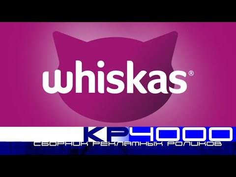 Видео: Сборник рекламных роликов корма для кошек «Whiskas»