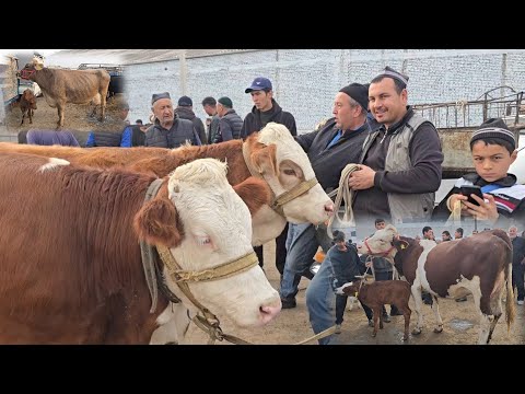 Видео: MARG'ILON MOL BOZORI DAXSHAT BOLDI FARG'ONA  26 октября 2025 г.