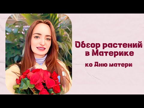 Видео: Обзор растений в Материке ко Дню матери