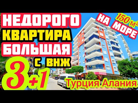 Видео: БОЛЬШАЯ квартира в Алании 3+1 всего 100м ПЛЯЖ недвижимость в Турции с ВНЖ