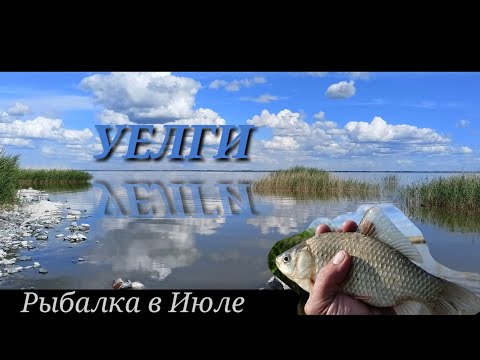 Видео: 🦾УеЛгИ🦾 КаРаСь ПоРаДоВаЛ ОпЯтЬ!!!