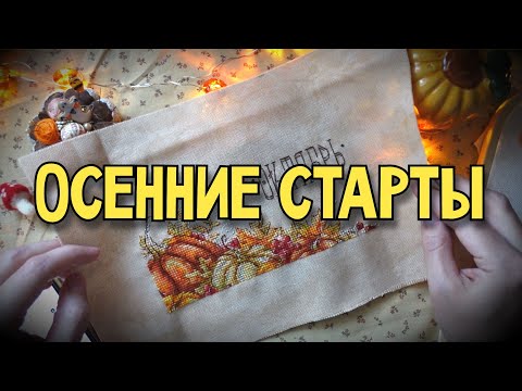 Видео: Осенние старты и покупки
