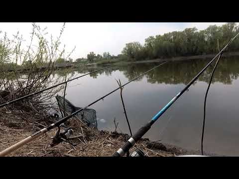 Видео: Воронеж Рыбалка на фидер в Шилово