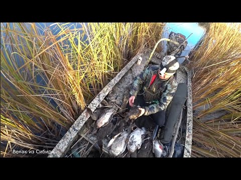 Видео: Забрались в самую глушь и давай валять уток!!! 