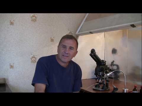 Видео: Навчальне відео про "Штучне осіменіння маток"