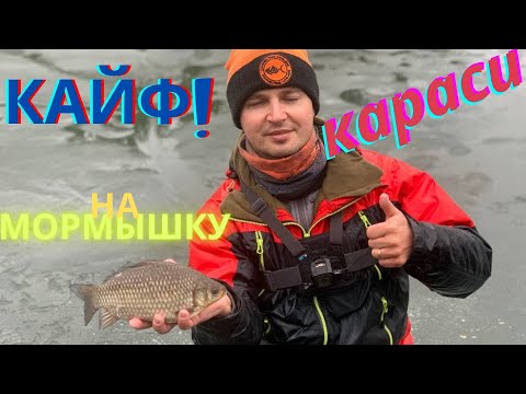 Видео: Как же хорошо клевал карась на мормышку. Как я ловлю карася зимой со льда на мотыля Кайфовая рыбалка