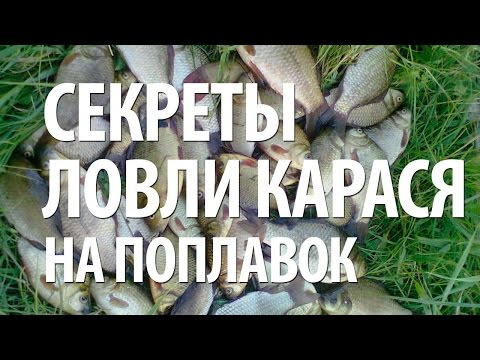 Видео: ЛОВЛЯ КАРАСЯ на ПОПЛАВОЧНУЮ УДОЧКУ. СЕКРЕТЫ РЫБАЛКИ на КАРАСЯ