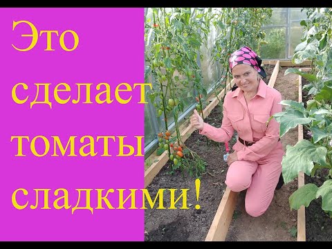 Видео: Как сделать томаты сладкими на вкус