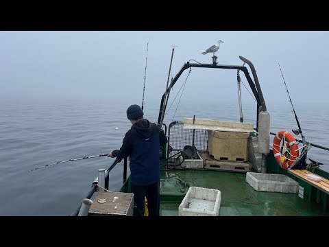 Видео: Рыбалка в Териберке. Свежая жаренная треска на баркасе.