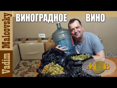 Видео: Виноградное вино по-простому или как сделать  хорошее вино из плохого винограда. Мальковский Вадим