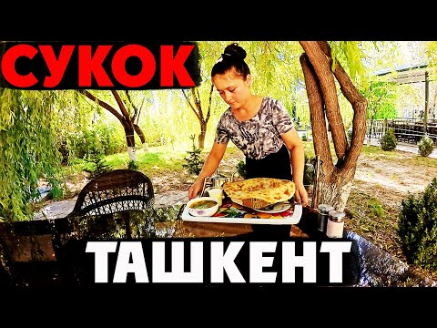 Видео: Узбекистан: Сможешь съесть ТАКУЮ ЛЕПЕШКУ один?