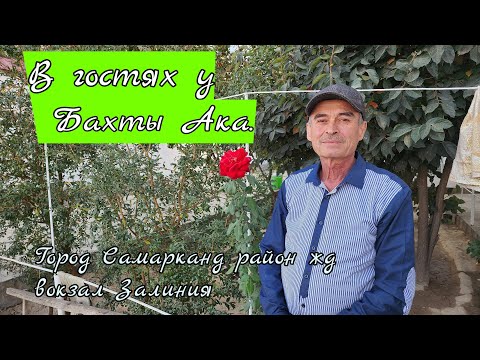 Видео: Игровые голуби. В гостях у БАХТЫ Ака. Самарканд район жд вокзал Залиния. #обзор голубятни. #голуби