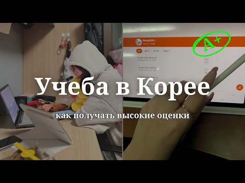 Видео: Как получать высокие оценки в корейском вузе!