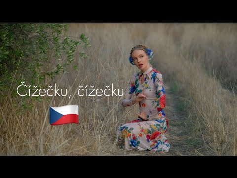 Видео: «Čížečku, čížečku» 🇨🇿 традиционная чешская песня на новый лад 😎 Татьяна Инюшина 