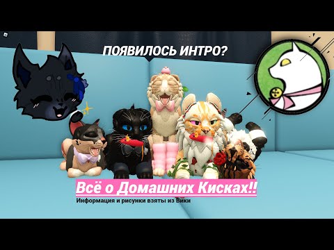 Видео: - Всё о Домашних кисках!!