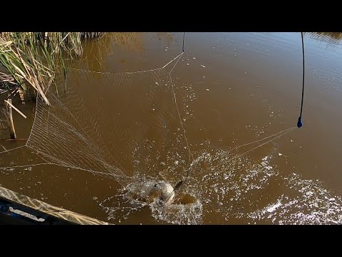 Видео: рыбалка на паук подъёмник в поиске сазана