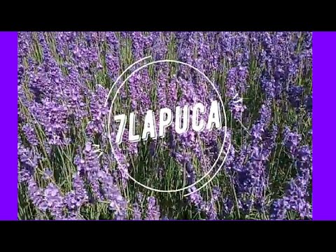 Видео: Носки спицами с узором Колечки Попетельный МК часть 1 Носочки спицами