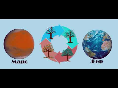 Видео: Кыргыз тили. Аналогиялар/Окшоштуктар: экинчи сабак