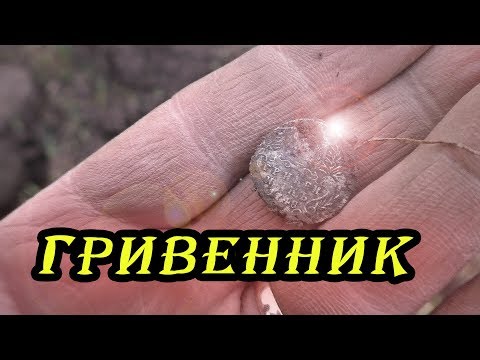 Видео: Гривенник!!!  Очень удачный коп!!!  От чешуи до советов!!!