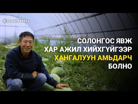 Видео: Ким Сун Чуль: Би ₮5 тэрбумыг ашиггүй үрсэн ч шантраагүй | Lemonade S3:E8🍋