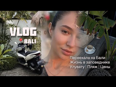 Видео: 7. VLOG: ПЕРВЫЕ 3 ДНЯ НА БАЛИ | ЧУТЬ НЕ УТОНУЛА В ОКЕАНЕ | ЦЕНЫ В МАГАЗИНАХ УЛУВАТУ 