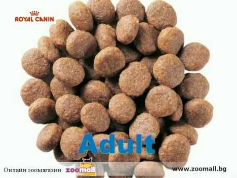 Видео: Royal Canin: Правилното хранена на кучето [zoomall.bg] BG