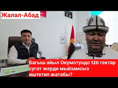 Видео: 120 гектар жерди мыйзамсыз иштетип жатабы?
