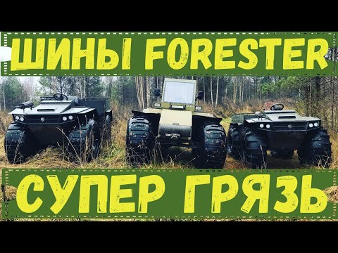 Видео: МЯСОРУБКА на шинах FORESTER NEW!!!