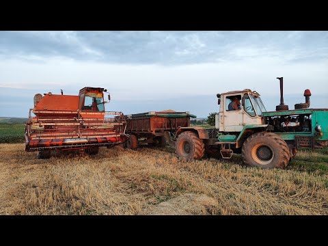 Видео: Буря з градом зробила з поля стадіон😱Прицеп пшениці залишили на землі😒Сіяти вже не потрібно🫡