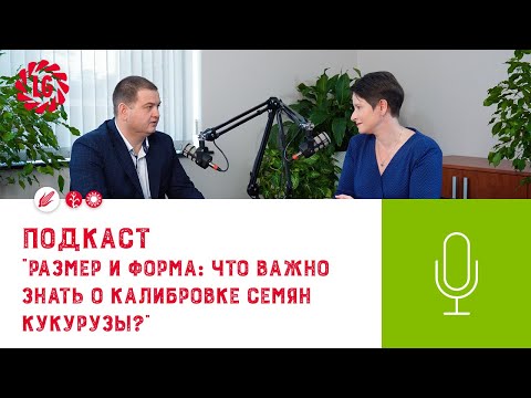 Видео: Подкаст «Размер и форма: что важно знать о калибровке семян кукурузы?»