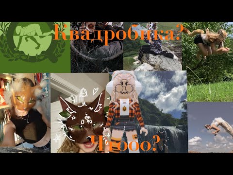 Видео: Реакция на квадробику ( бывший квадробер)