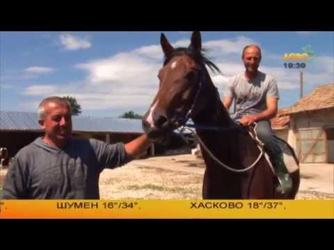 Видео: Фермер реализира мечтата си да отглежда състезателни коне