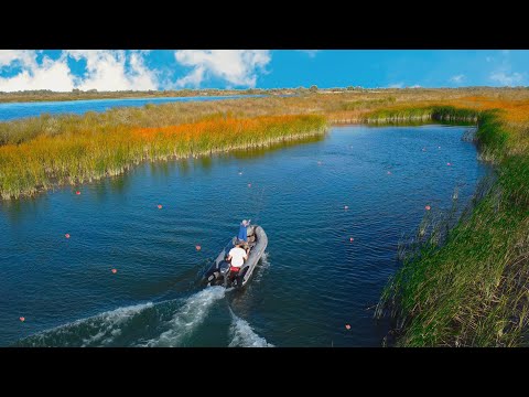 Видео: СУПЕР РЫБАЛКА НА РЕКЕ ИЛИ! Закрытие СЕЗОНА! ОТВЕТ ИНСПЕКЦИИ ШАХ И МАТ!