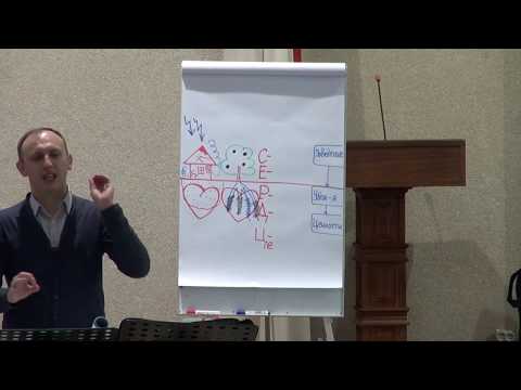 Видео: Константин Чибизов. Работа с вопросами СЕРДЦа