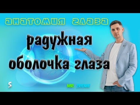 Видео: Радужная оболочка глаза