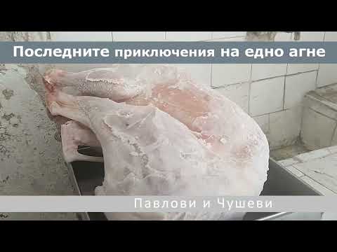 Видео: Агне в дупка по Селски (Lamb in ground hole) или Последните Приключения на едно Агне!