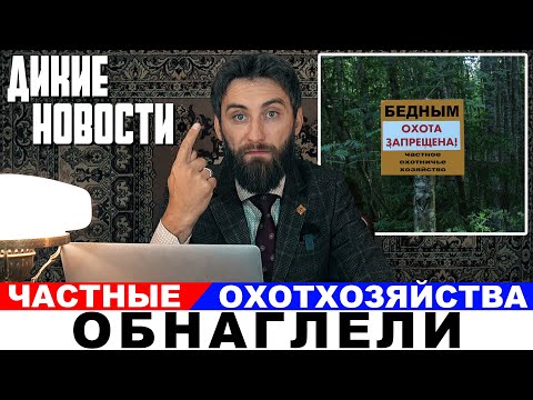 Видео: Частные охотхозяйства против охотников/Где хранится конфискованное мясо/Энцефалита нет#ДикиеНовости