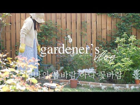 Видео: Пробыл весь день в саду. 🌿 Купить и купить... цветочный магазин