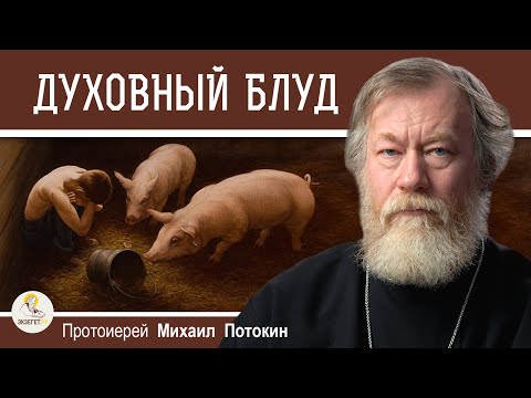Видео: ДУХОВНЫЙ БЛУД.  Протоиерей Михаил Потокин