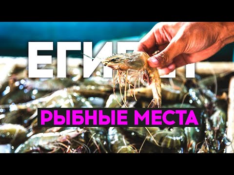 Видео: ХУРГАДА. ОГОЛОДАЛИ НА "ВСЕ ВКЛЮЧЕНО"? РЫБНЫЙ РЫНОК. РАЙОН "МАРИНА". EL SAKIA BEACH HURGHADA