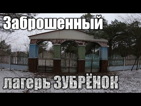 Видео: заброшенный лагерь зубренок