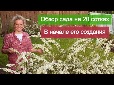 Видео: Обзор сада. Особенности растений через несколько лет наблюдений