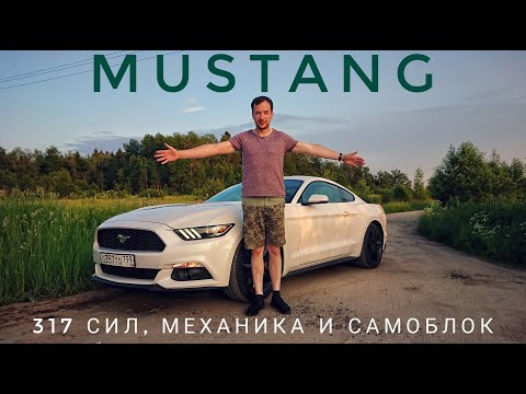 Видео: Маслкар с характером BMW. Ford Mustang за 2.2  млн. рублей