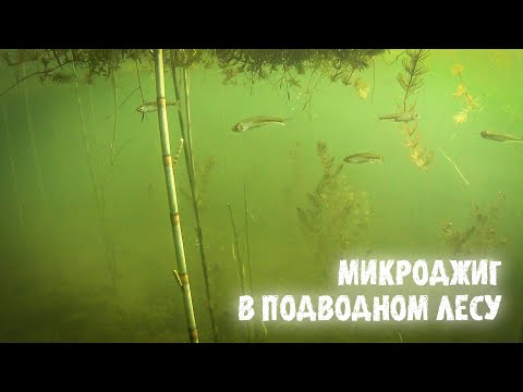 Видео: ТАКОГО КЛЁВА Я НЕ ОЖИДАЛ / РЫБАЛКА НА МИКРОДЖИГ В ТРАВЕ.