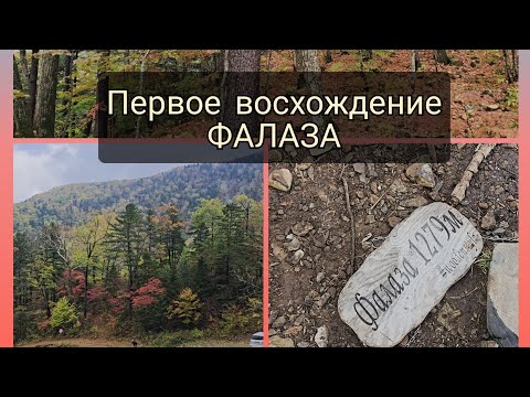 Видео: Первый раз иду на большую гору )) ФАЛАЗА. ПРИМОРСКИЙ КРАЙ/// стоило ли оно того? ?