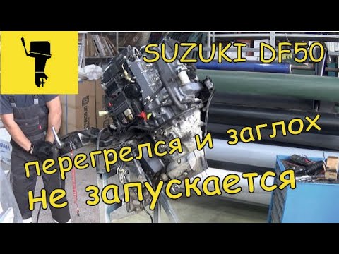 Видео: Suzuki df50. Перегрелся и заглох